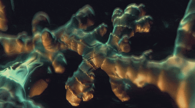 Harmful Skincare Ingredients to Avoid