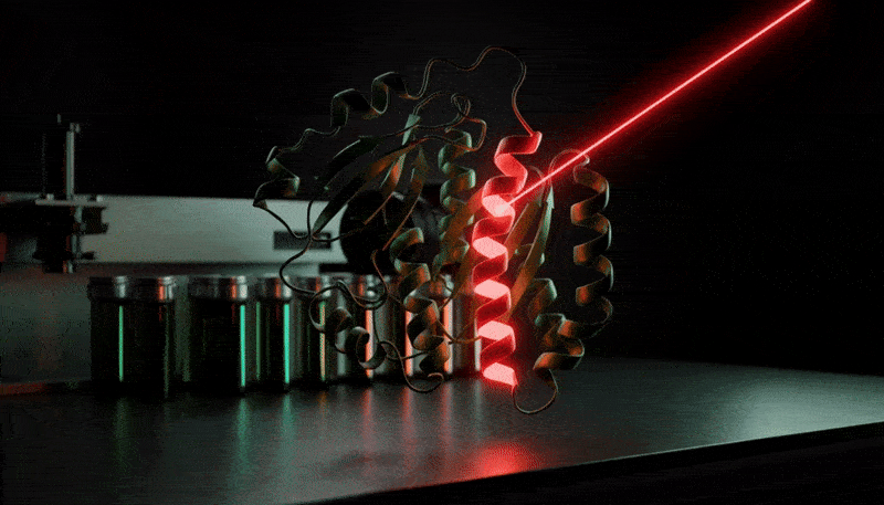 Peptides vs. Proteins | How They Work Under LED Light