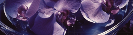 Cortisol-Blocking Neurophroline™