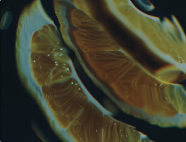 Antioxidant + Collagen-Synthesis